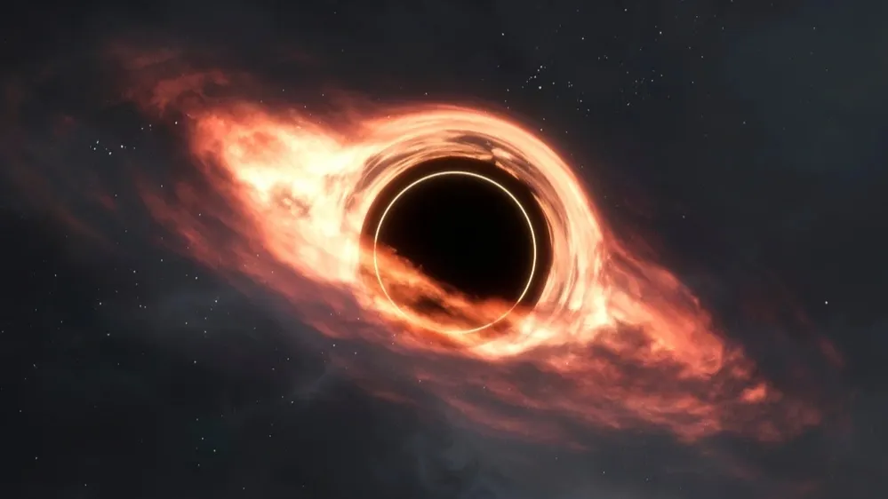 Фото: Vadim Sadovski/Shutterstock/Fotodom