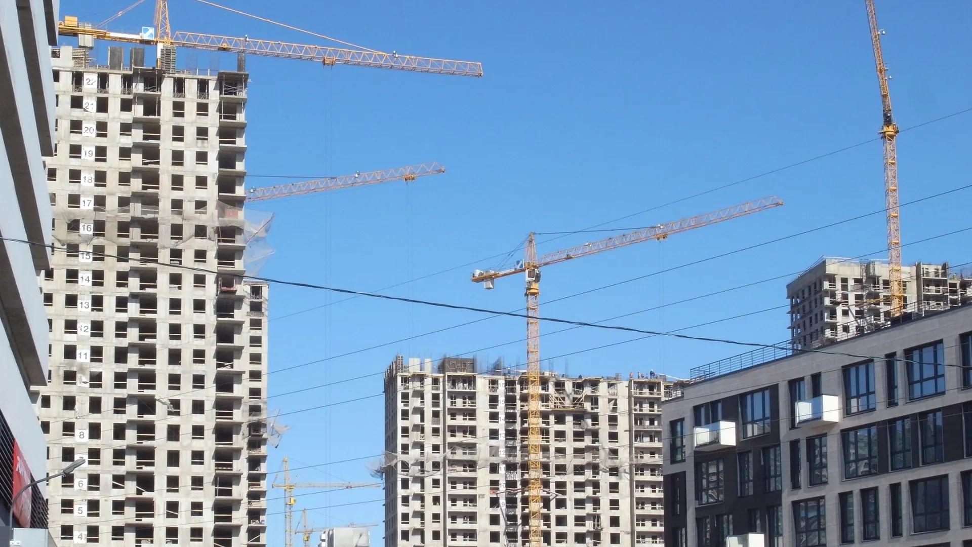 Фото: Denis Kurov/Shutterstock/Fotodom