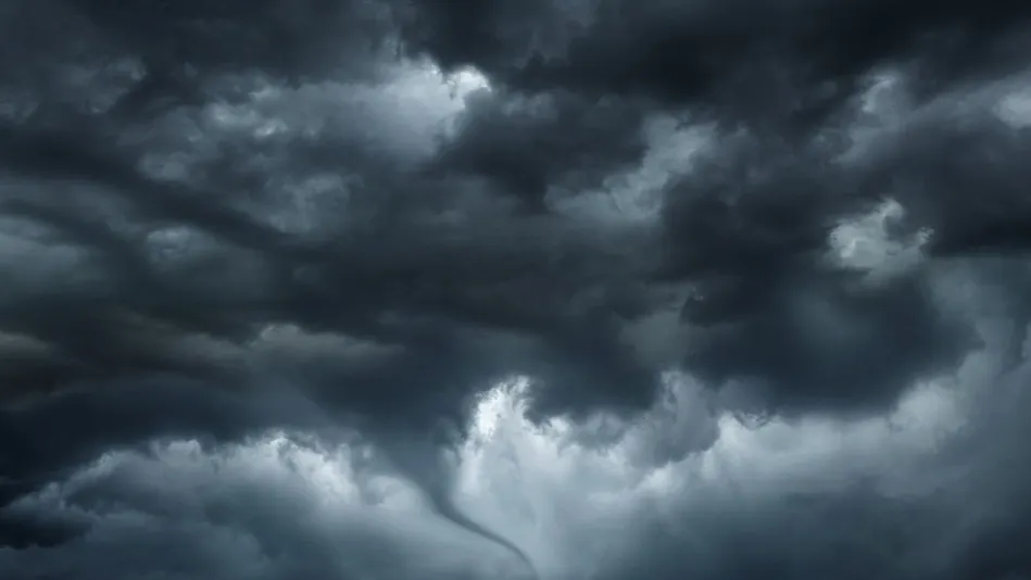 Фото: Triff/Shutterstock/Fotodom