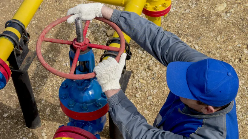 63ru78/Shutterstock.com