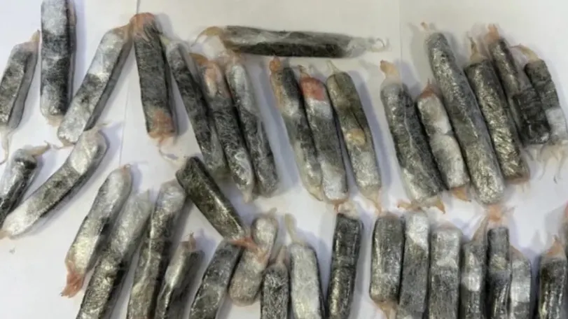 Фото: «МВД Медиа»