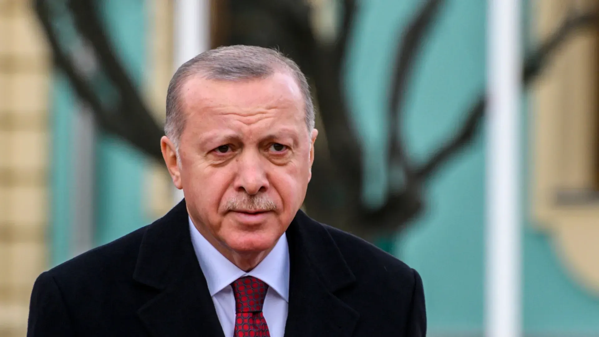 Фото: Siarhei Liudkevich/Shutterstock/Fotodom