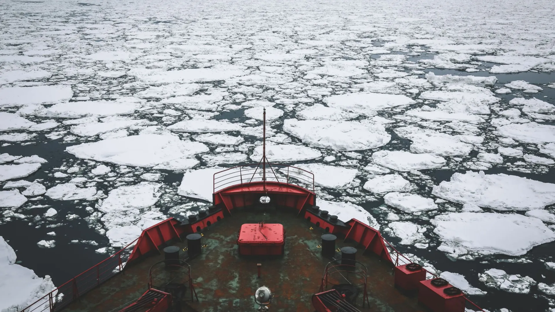 Фото: Katrin York/Shutterstock/Fotodom