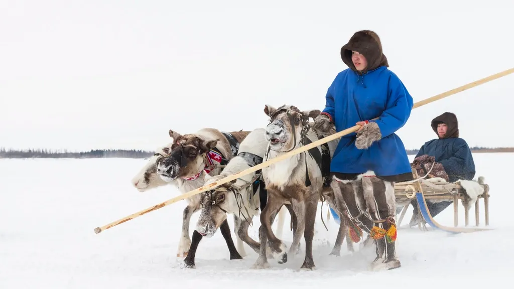 Фото предоставлено пресс-службой губернатора ЯНАО