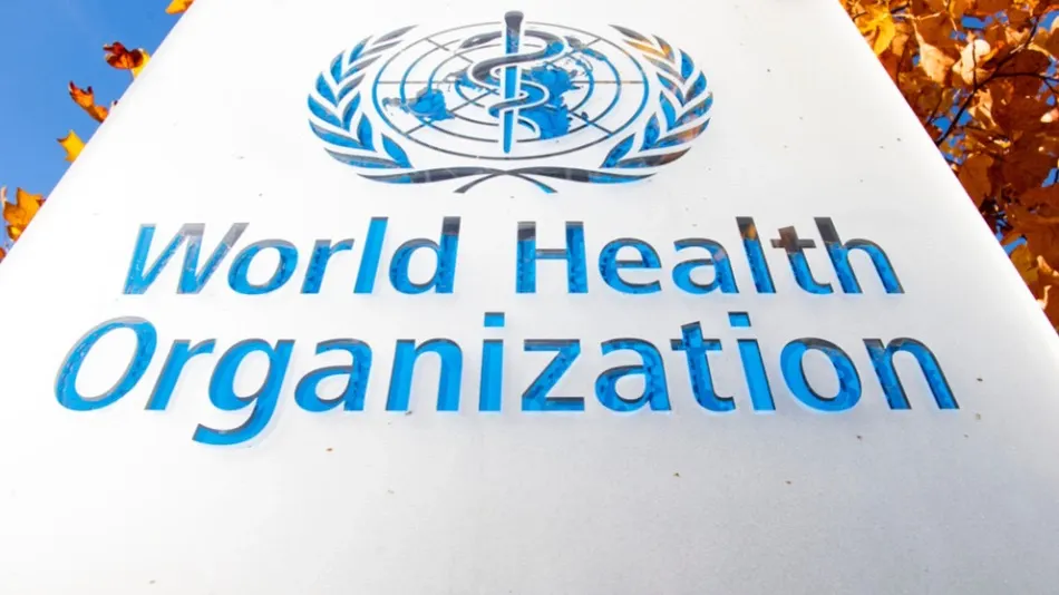 Фото: Richard Juilliart/Shutterstock.com