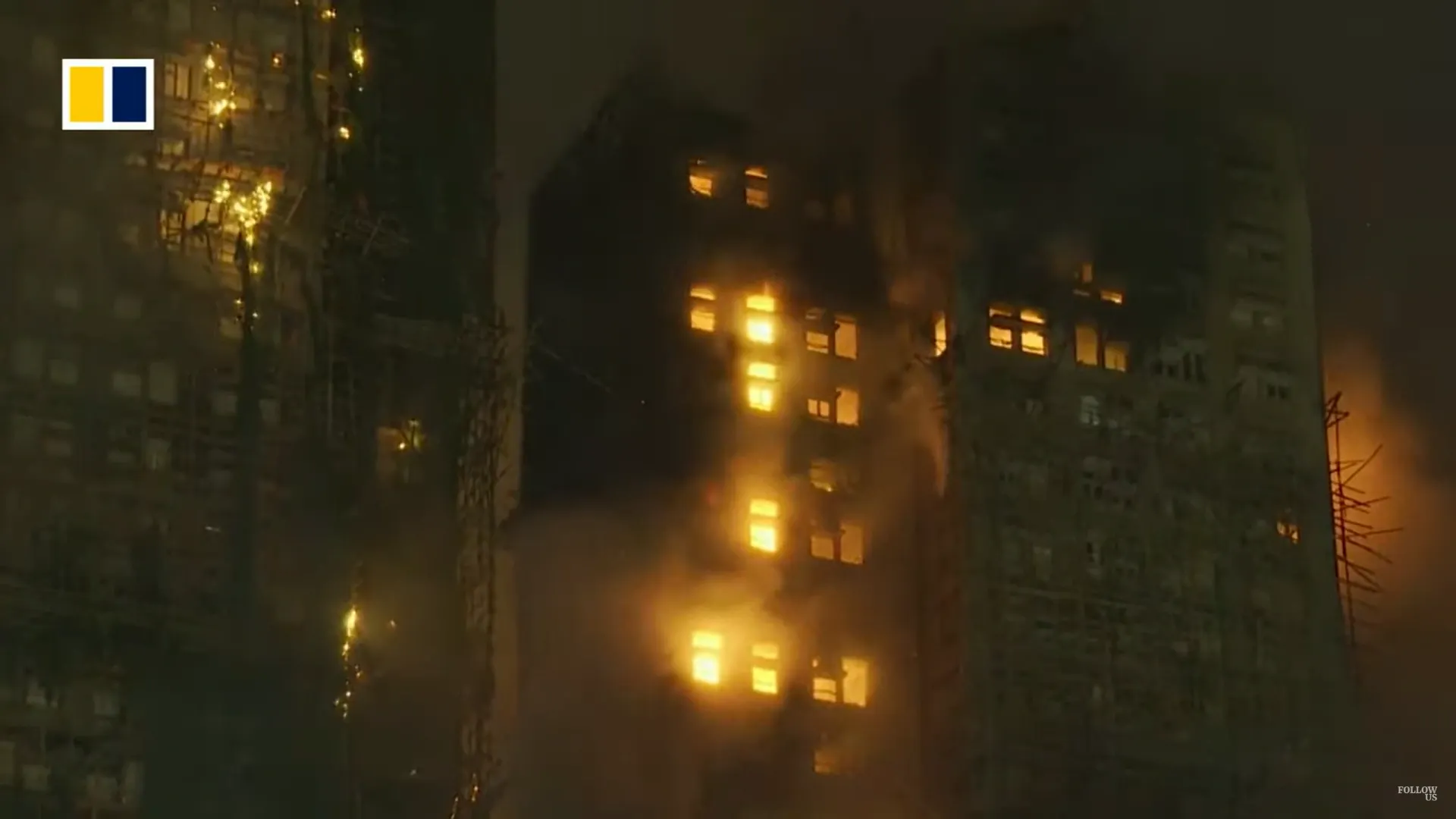 Кадр видео канапла South China Morning Post/www.youtube.com/watch?v=5TRj_rgsncc