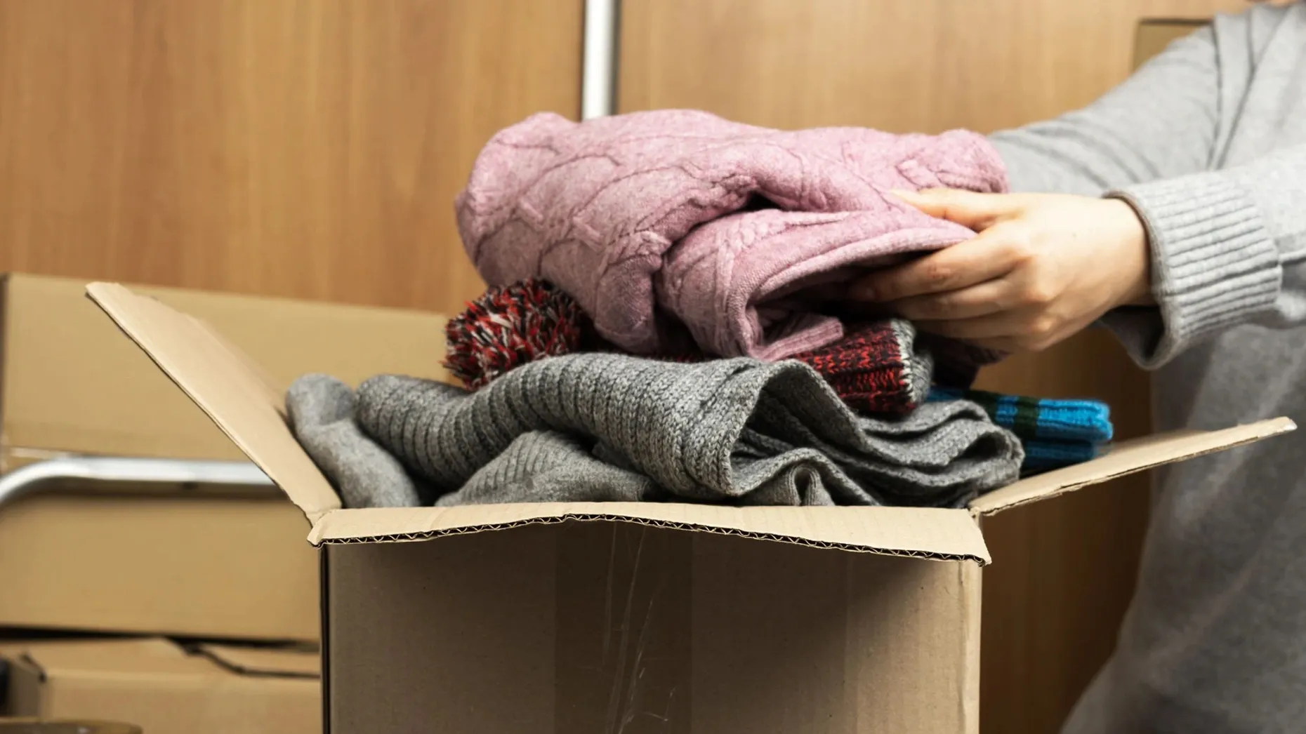 Фото: MorphoBio/Shutterstock/Fotodom