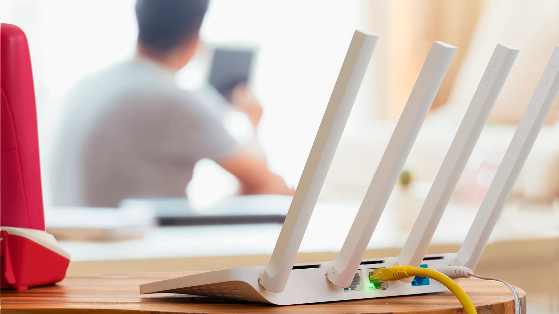 Фото: Casezy idea/shutterstock.com