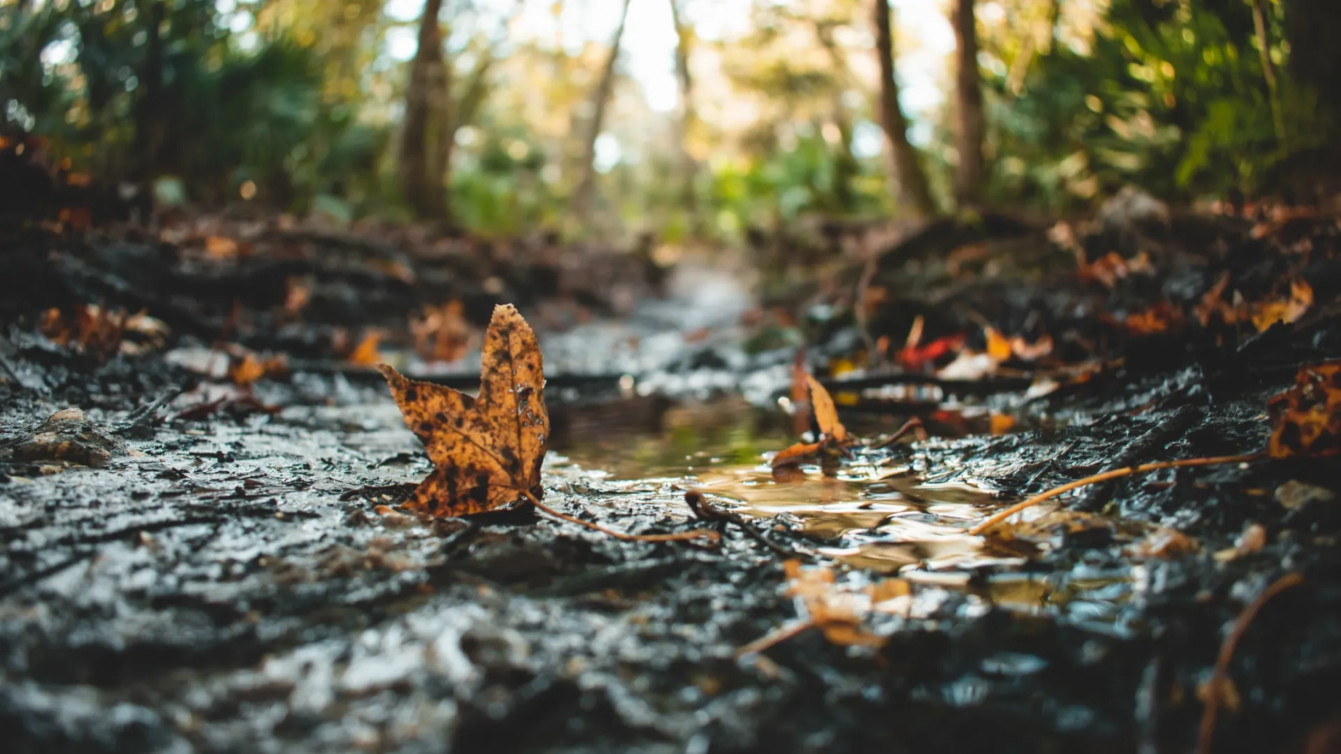 Фото: wirestock/Freepik.com