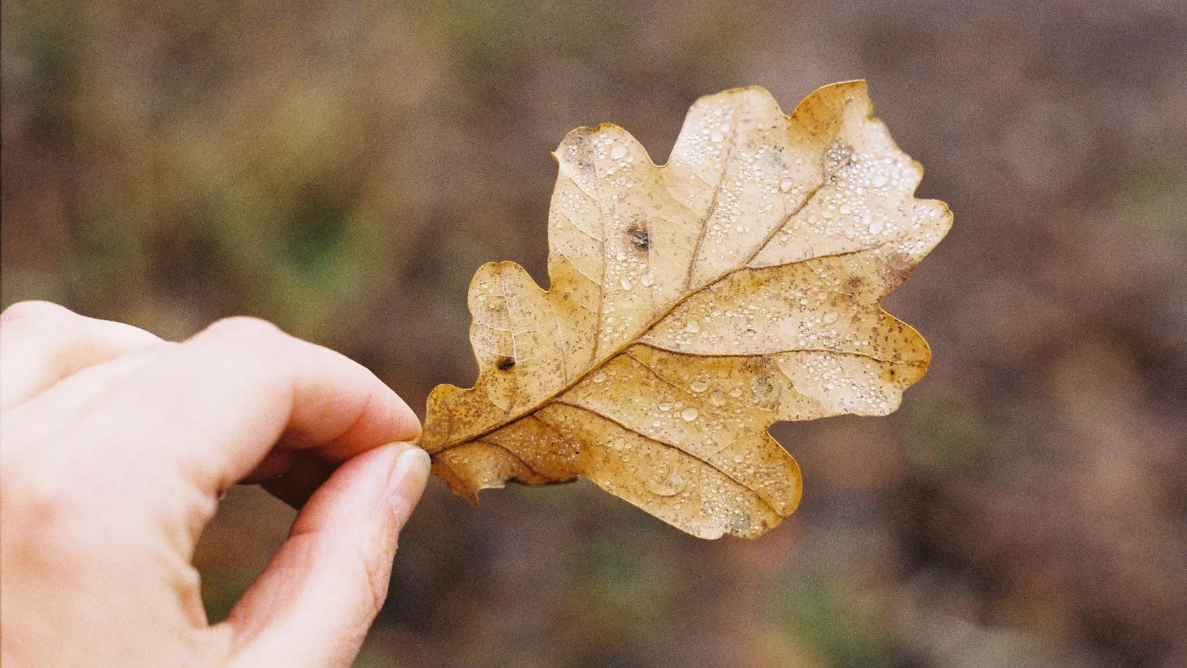 Nata Madilyan \ Flickr.com