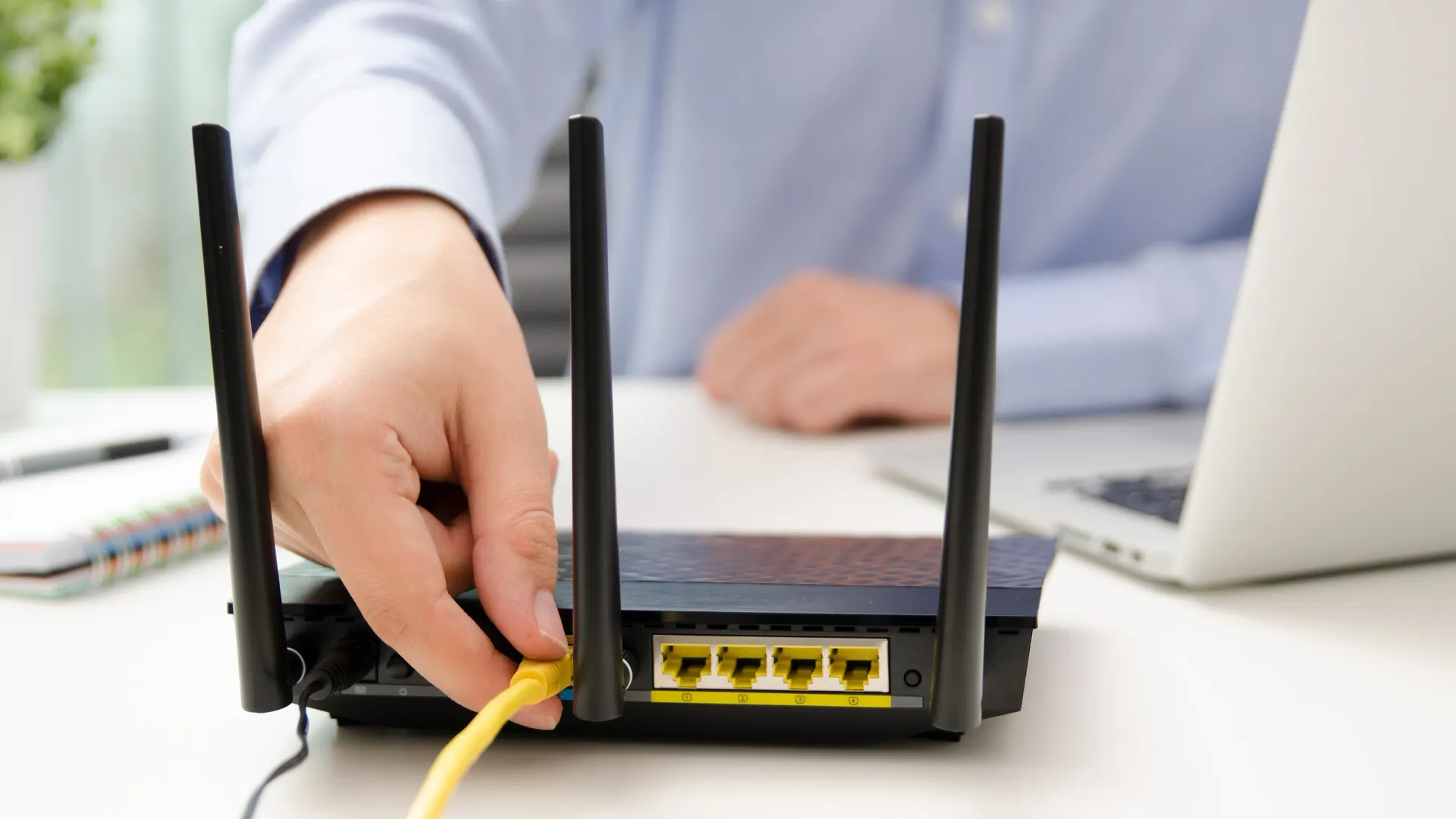 Фото: Proxima Studio/Shutterstock/Fotodom