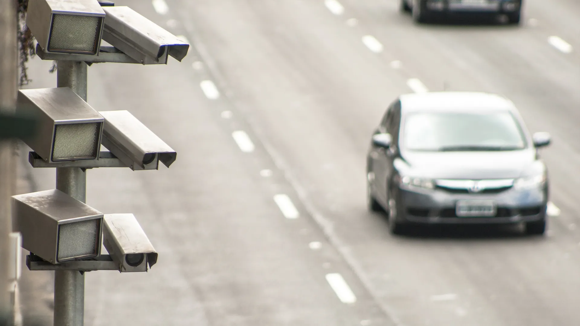 Фото: Alf Ribeiro/Shutterstock.com