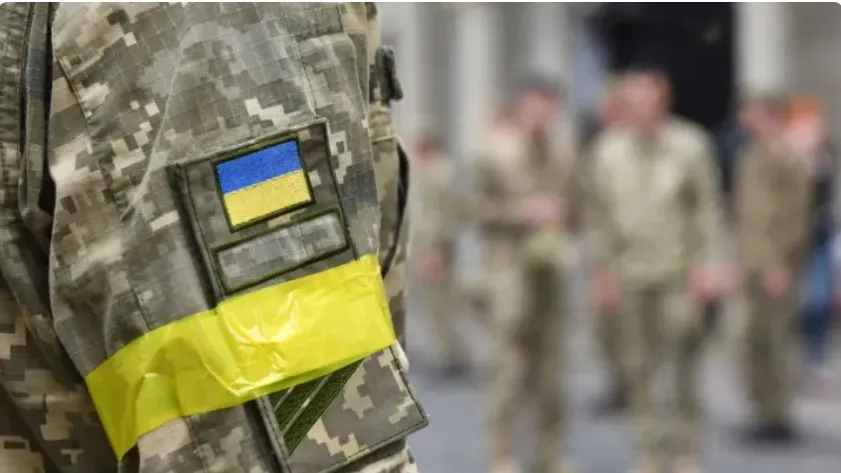 Фото: Bumble Dee/Shutterstock/Fotodom