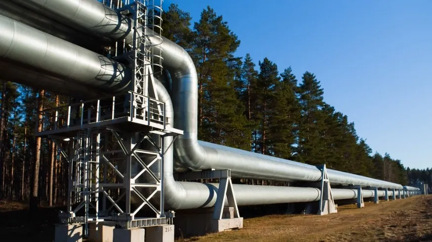 Фото: Fotokaleinar/Shutterstock/Fotodom