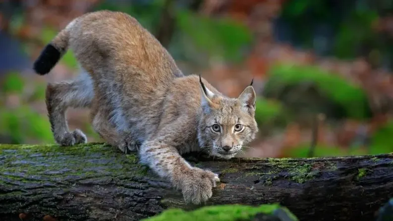 Фото: Ondrej Prosicky/Shutterstock/Fotodom