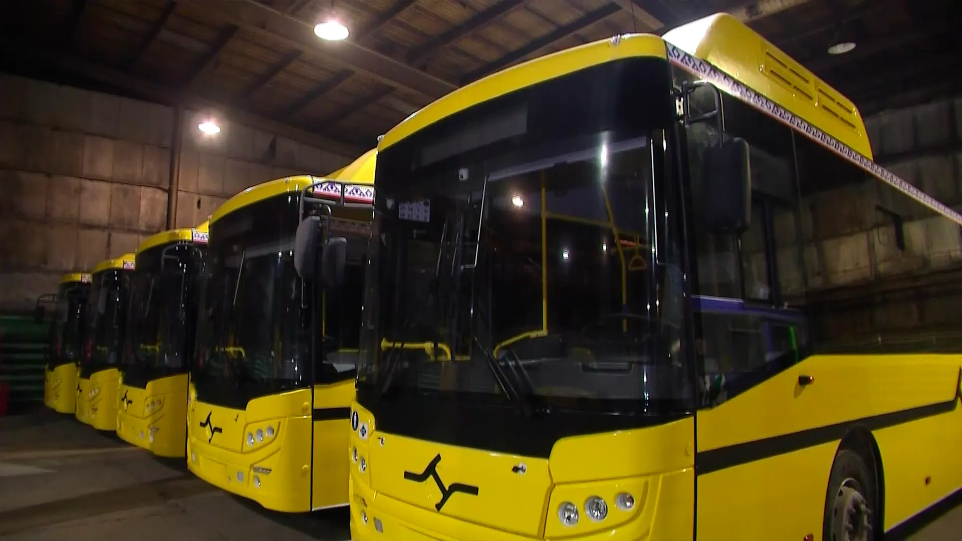 Фото: скрин из видео АНО "Ямал-Медиа"