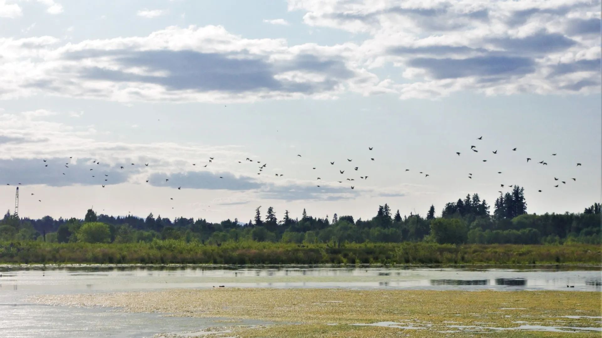 Фото: Kay Dropiewski/Shutterstock/Fotodom