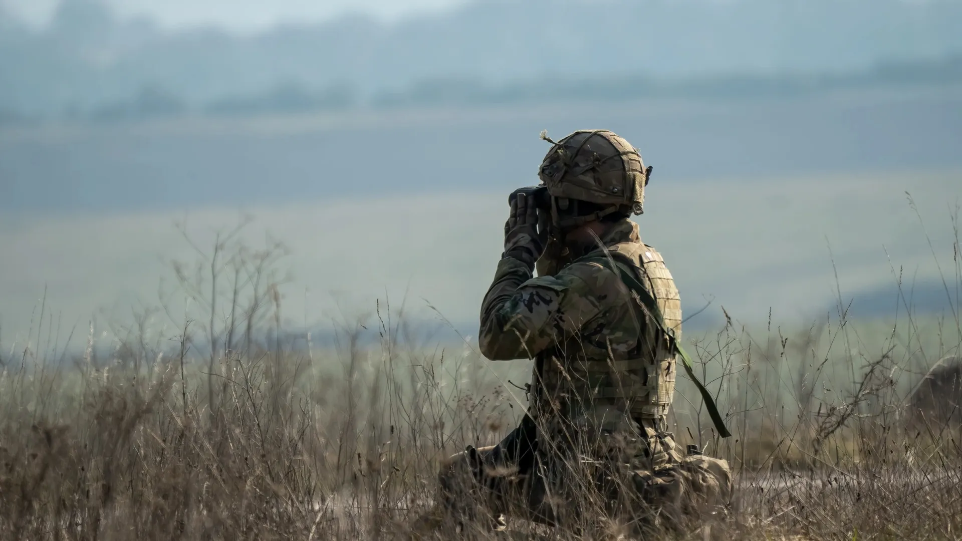 Фото: Martin Hibberd/Shutterstock/Fotodom