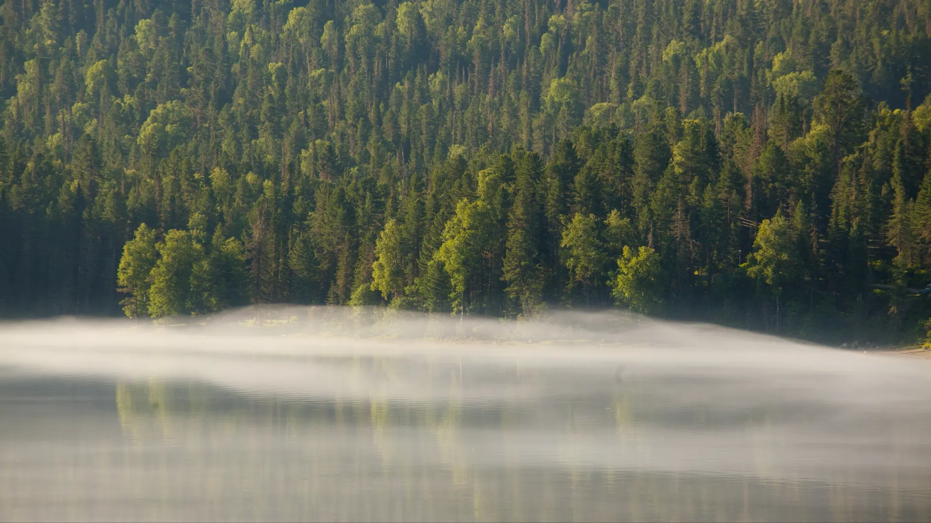 Фото: Faustova/Shutterstock/Fotodom