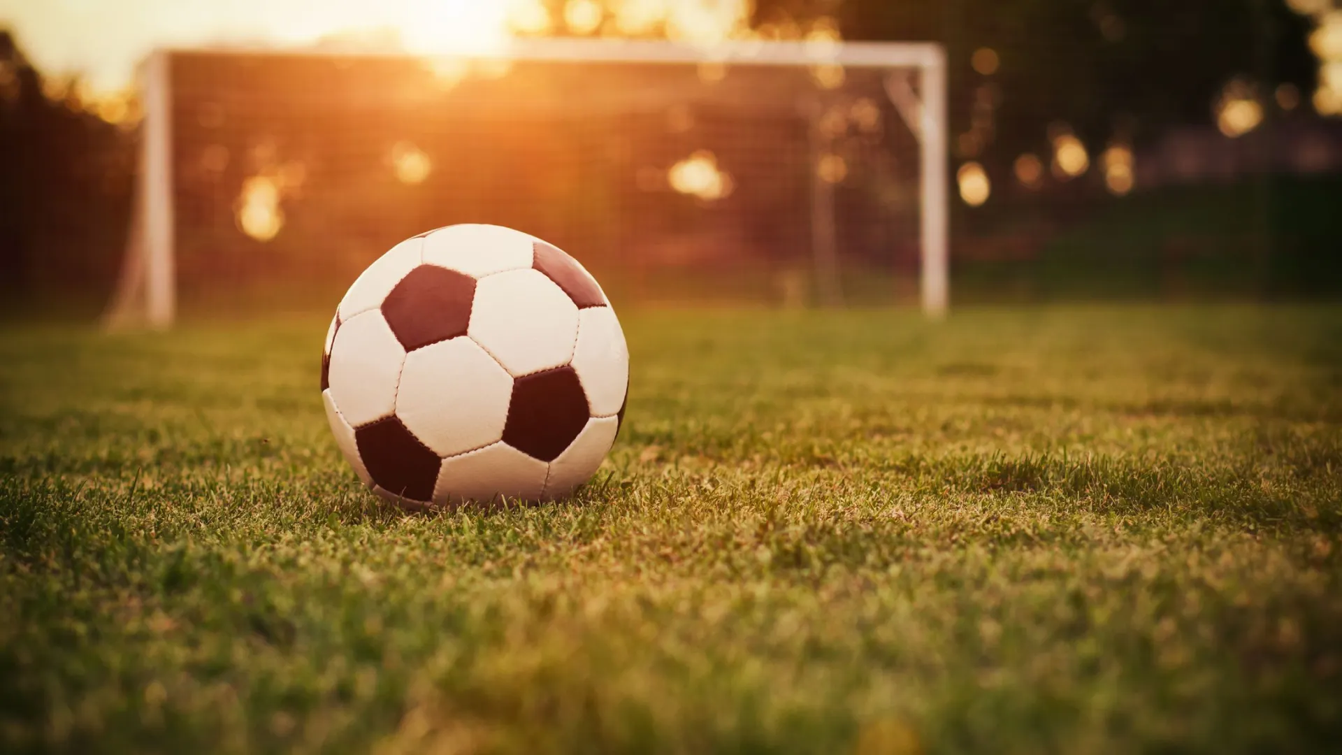 Фото: Gelner Tivadar/Shutterstock/Fotodom