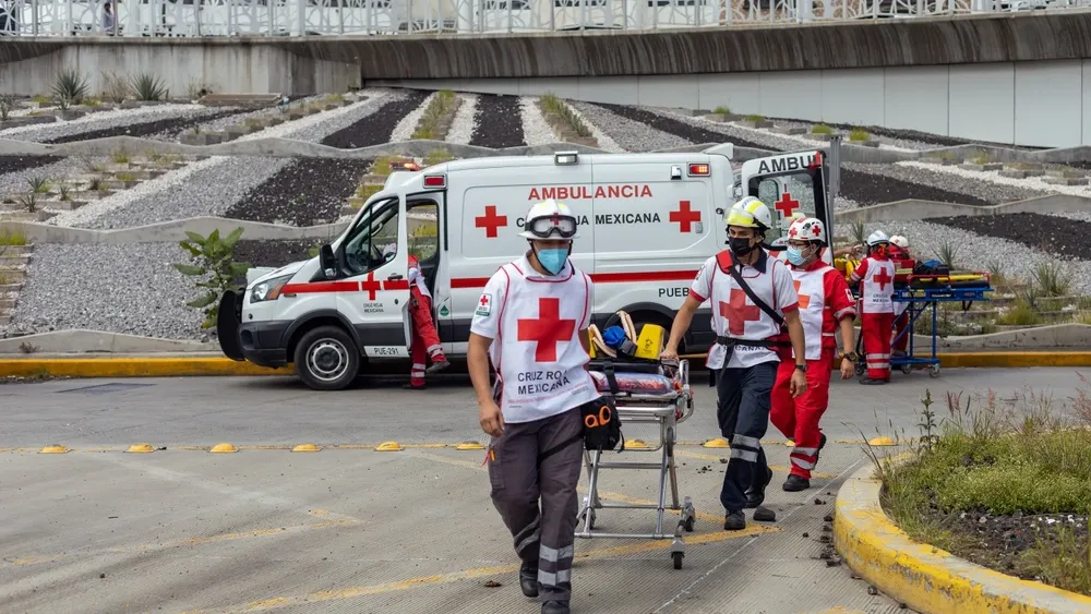 Фото: Alejandro_Munoz/Shutterstock/Fotodom