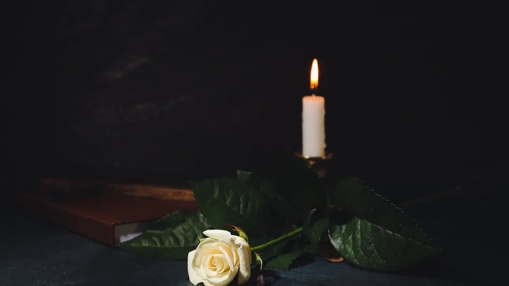 Фото: Pixel-Shot/Shutterstock/Fotodom