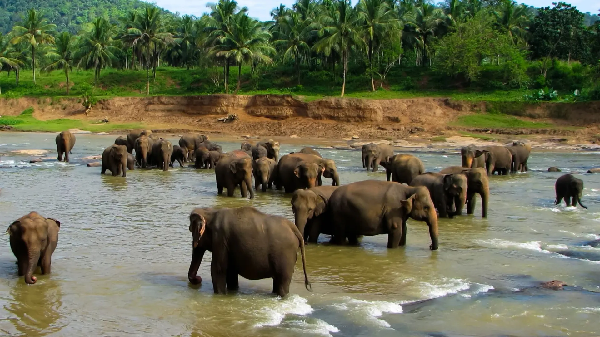 Фото: PCVR-105773/Shutterstock/Fotodom