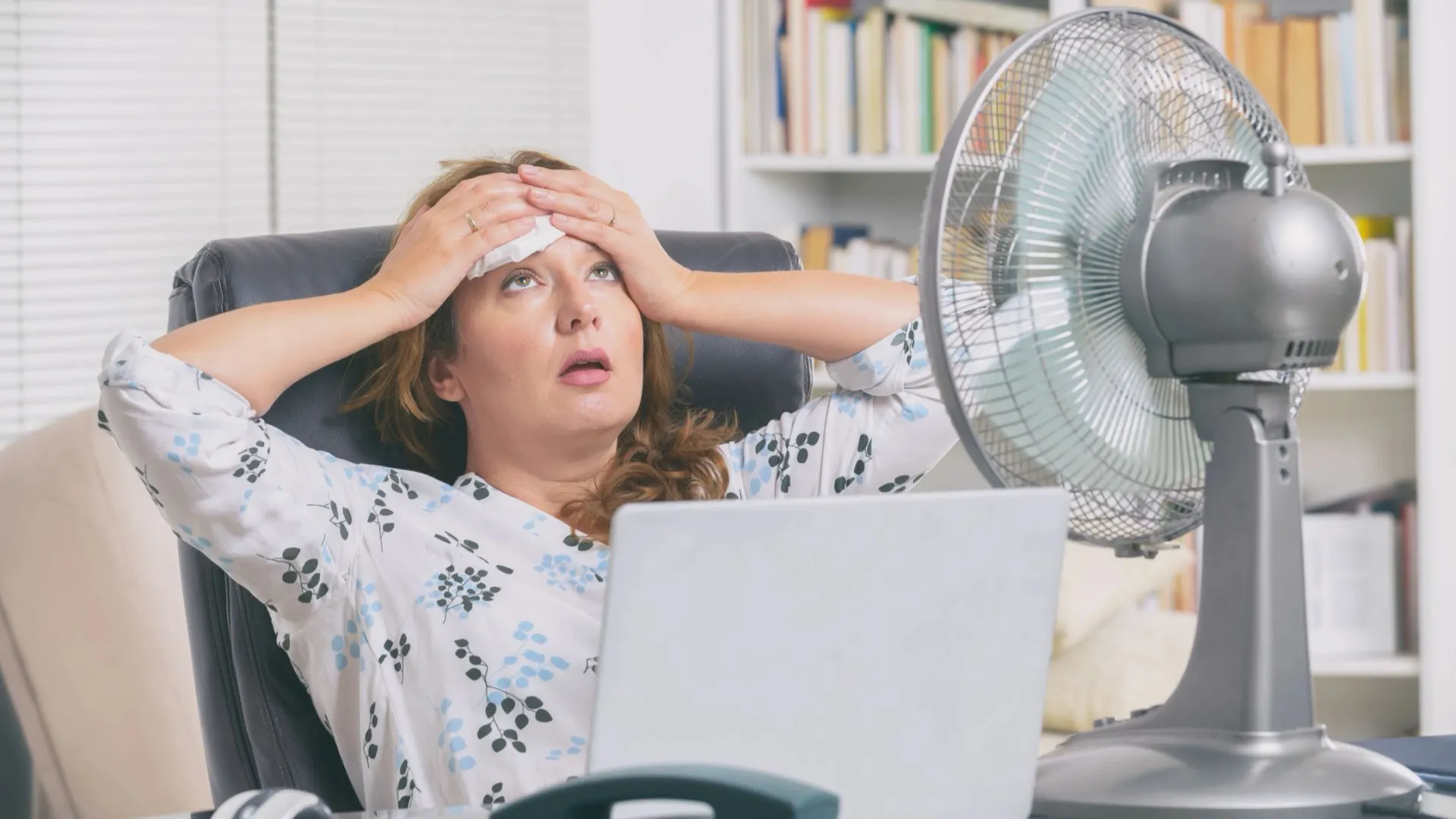 Фото: Monika Wisniewska/Shutterstock/Fotodom