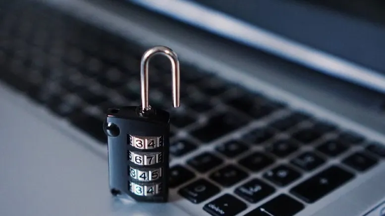 Фото: Gorodenkoff / Shutterstock.com