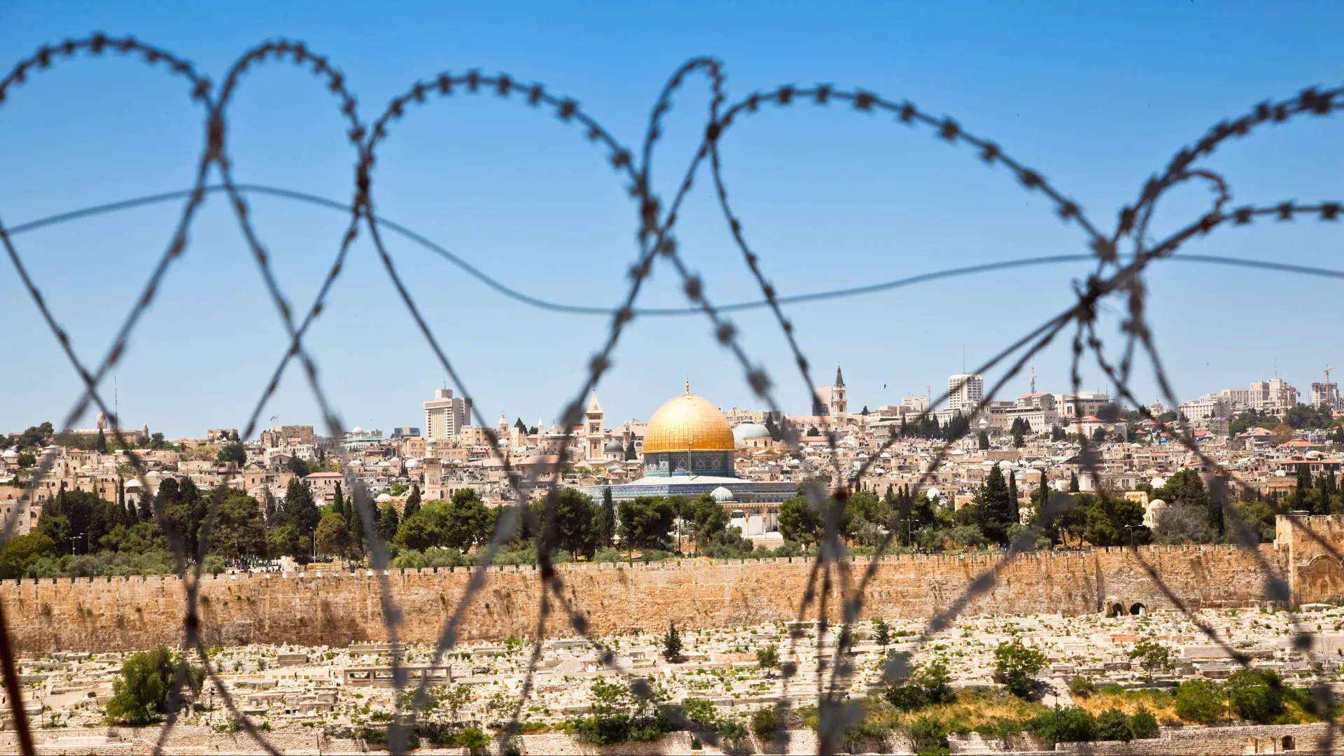 Фото: Aleksandar Todorovic/Shutterstock/Fotodom