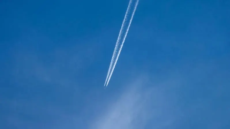 Фото: Фёдор Воронов/«Ямал-Медиа»