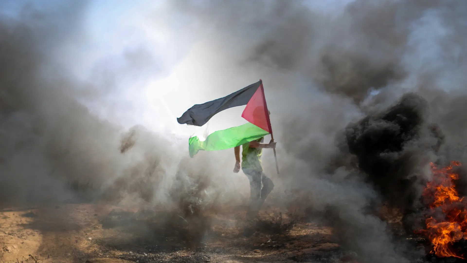 Фото: Qrutyphoto/Shutterstock/Fotodom