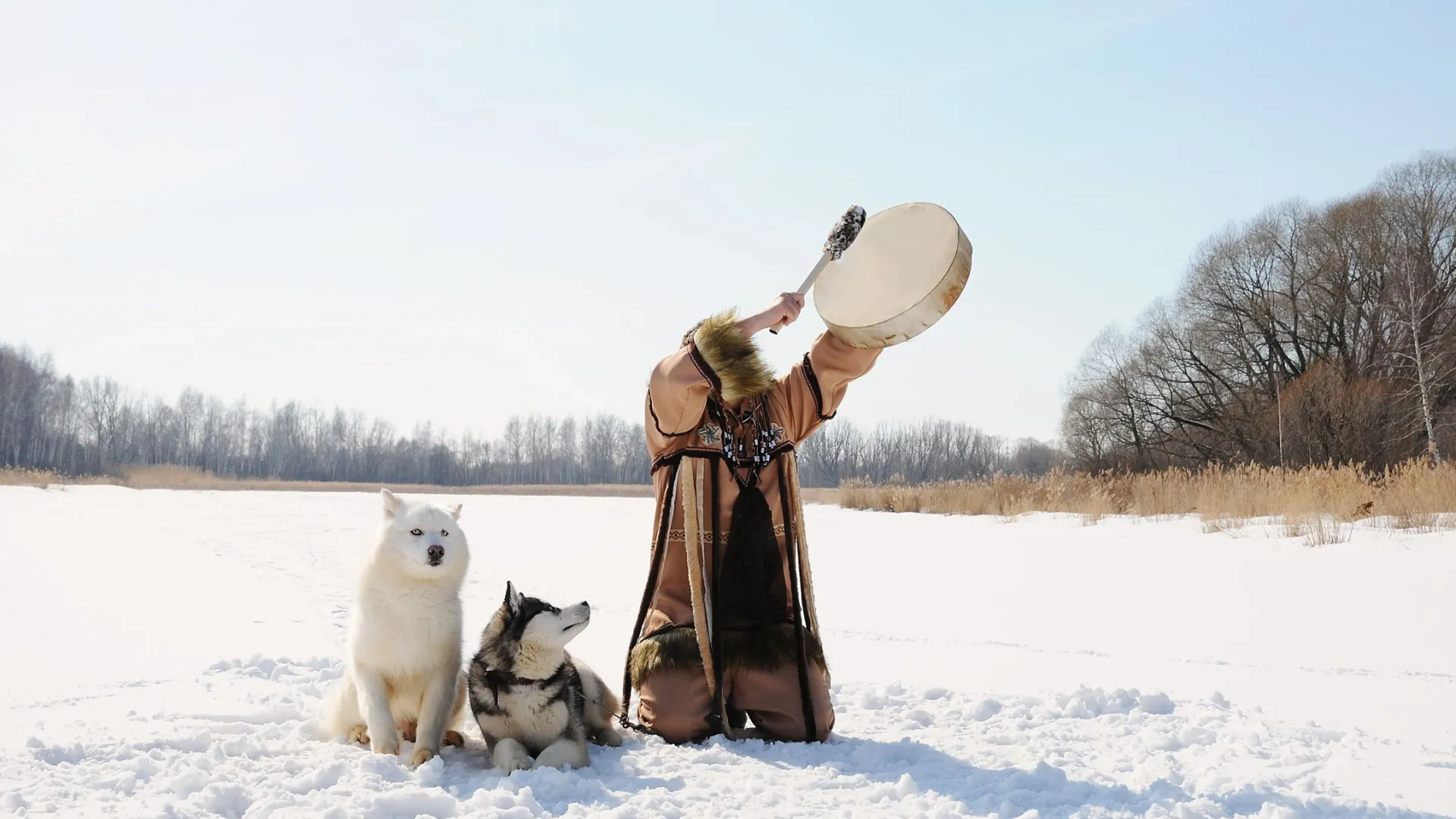 В День колдуна мистические персонажи активизировались. Фото: Kristina Sorokina/Shutterstock