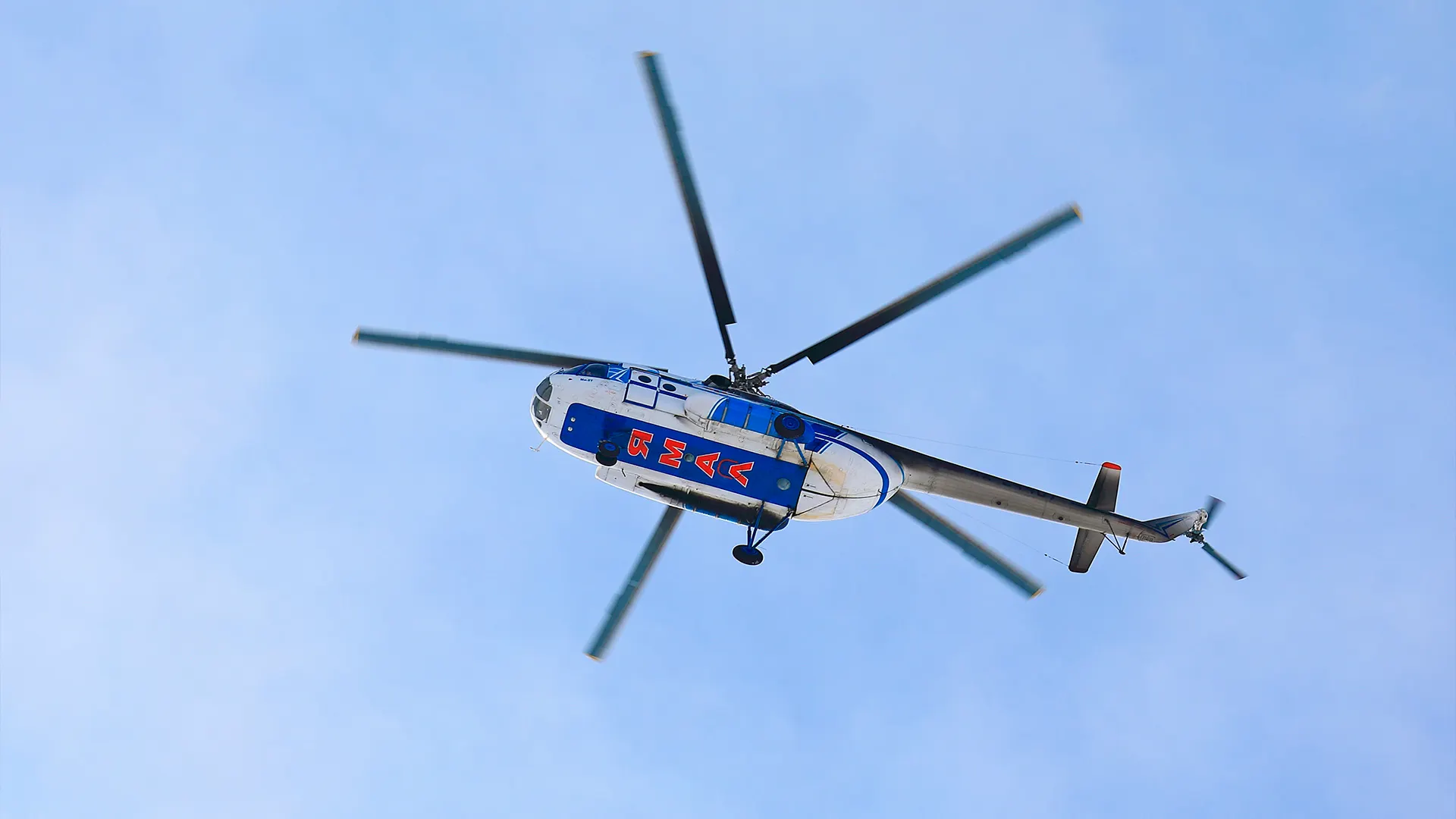 Фото: Grigorii Pisotsckii /Shutterstock.com