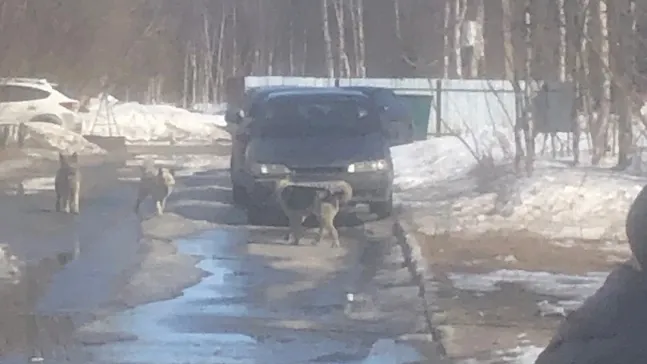 Фото: vk.com/zloynadym