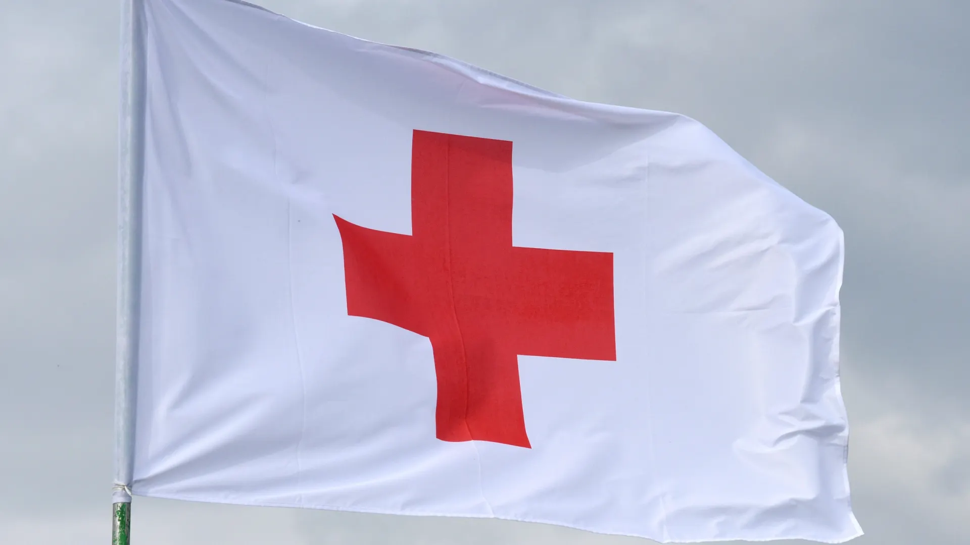 Фото: Bumble Dee/Shutterstock/Fotodom