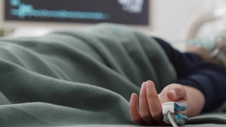 Фото: TommyStockProject/Shutterstock/Fotodom