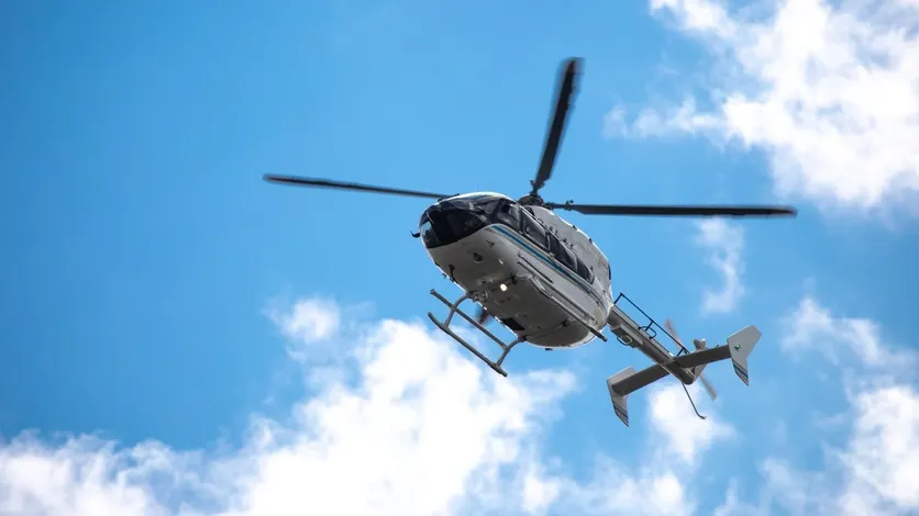 Фото: Vera Larina/Shutterstock/Fotodom