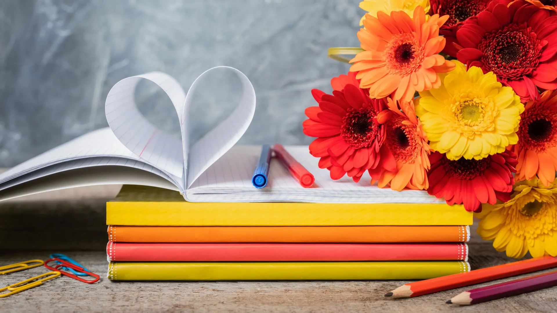 Фото: Katia Seniutina/Shutterstock/Fotodom