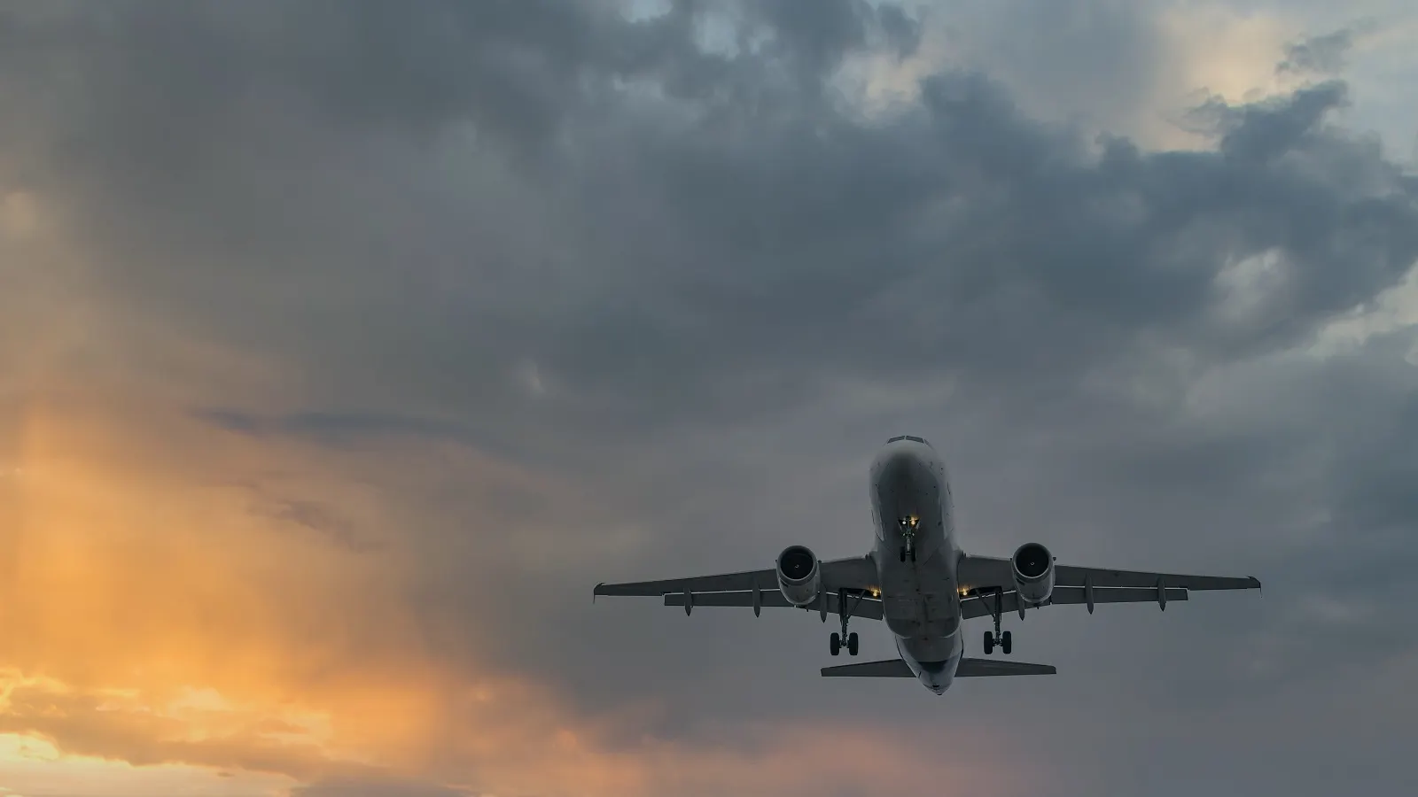 Фото: OlegRi/Shutterstock