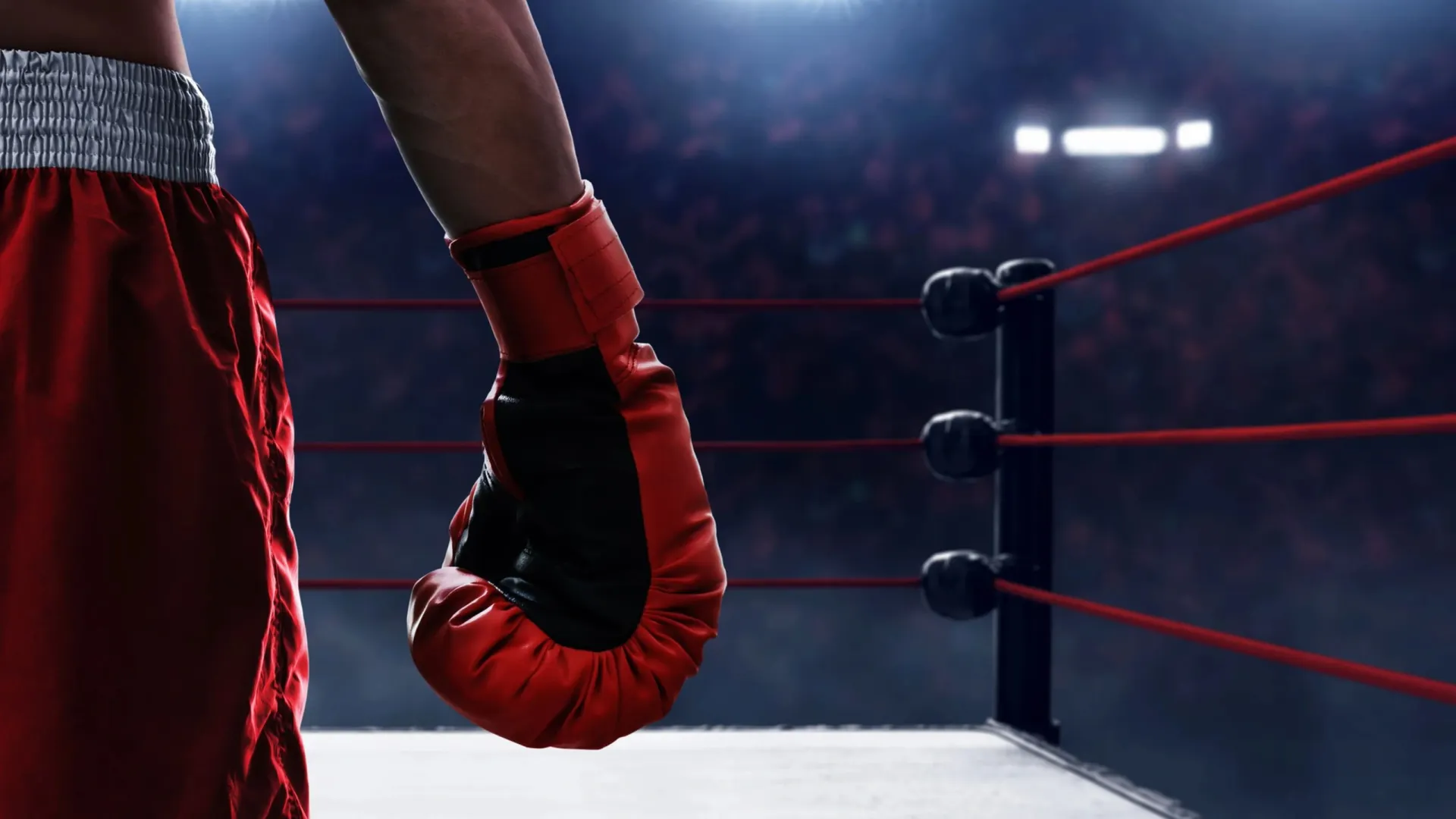 Фото: FOTOKITA/Shutterstock/Fotodom