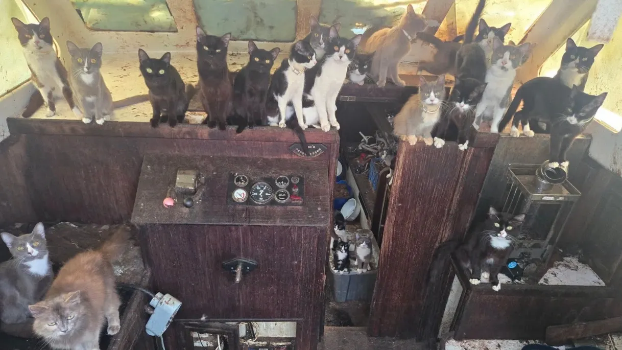 pic