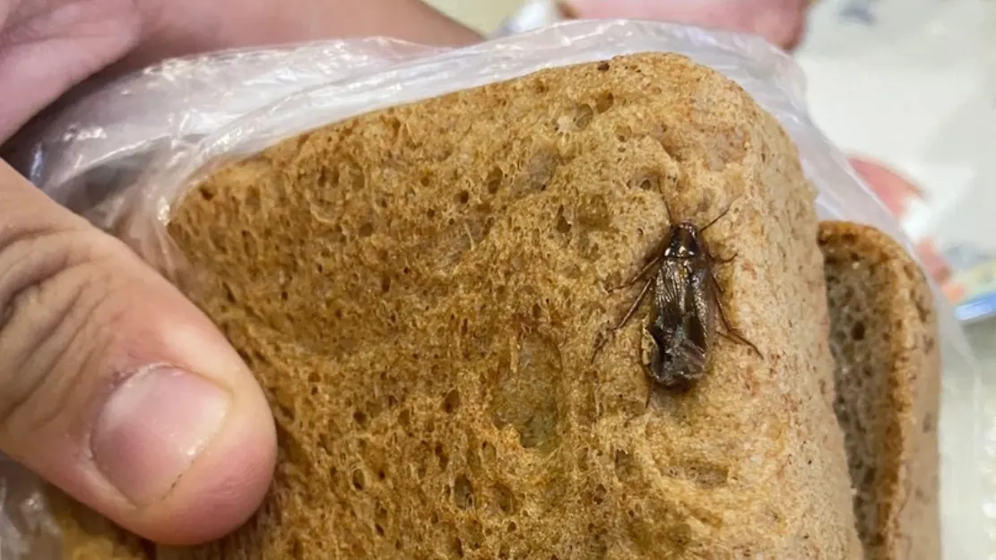 Фото: «ЧП | ДТП | Новый Уренгой» во «ВКонтакте»