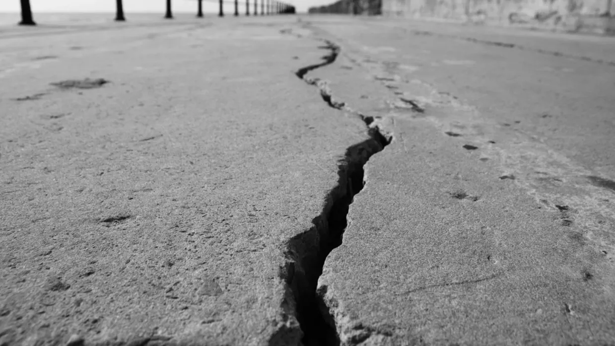 Фото: MD_Photography/Shutterstock/Fotodom