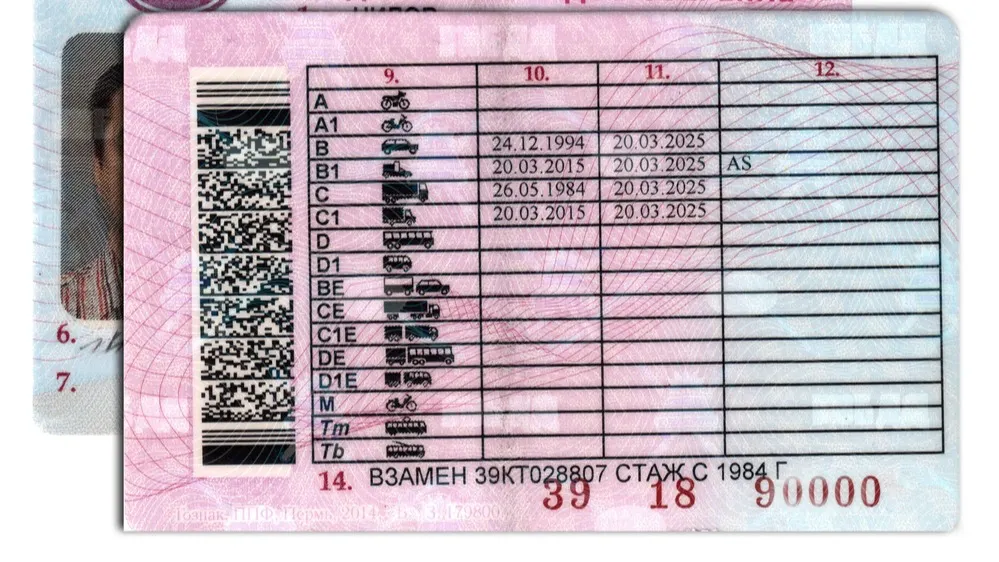 Фото: dugwy39/Shutterstock/Fotodom