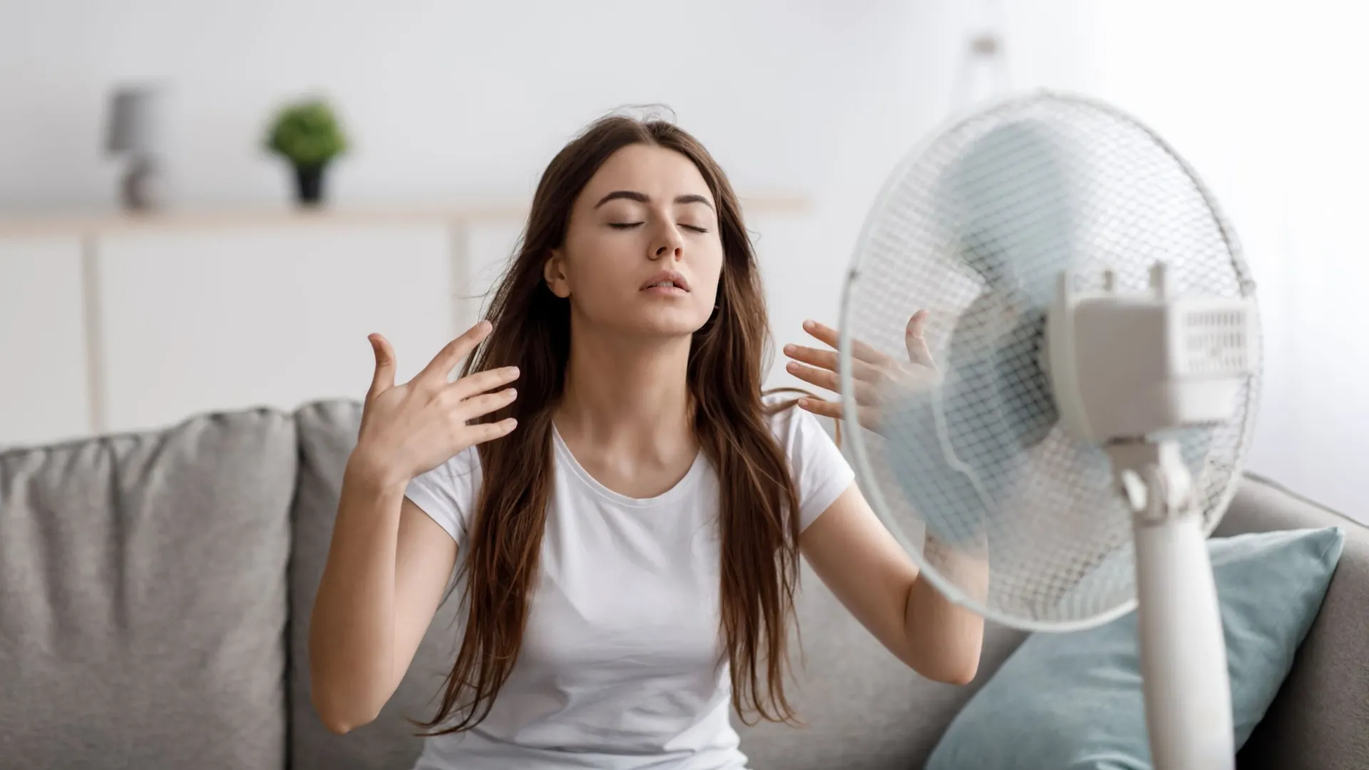 Фото: Prostock-studio/Shutterstock/Fotodom