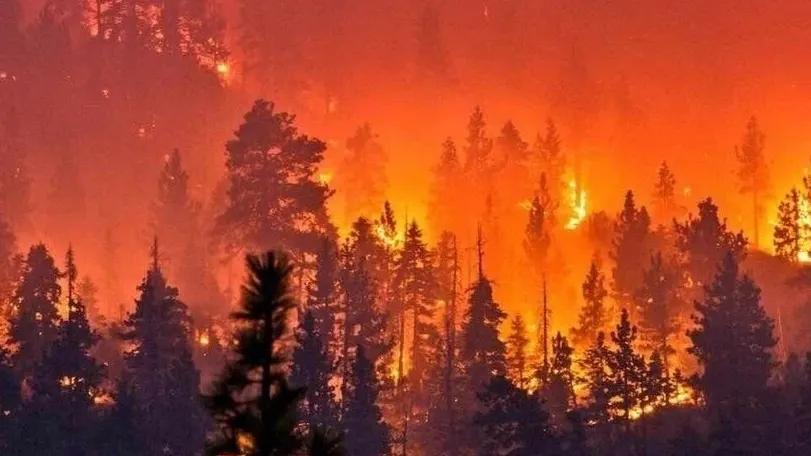 Сайт МЧС России