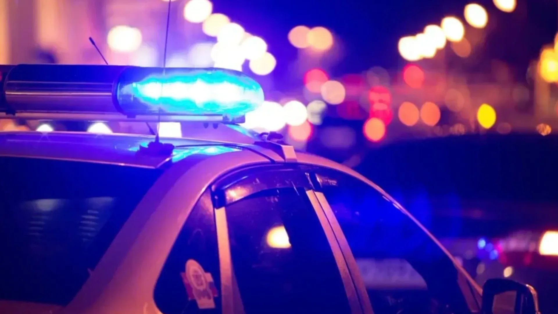 Фото: ArtOlympic/Shutterstock/Fotodom