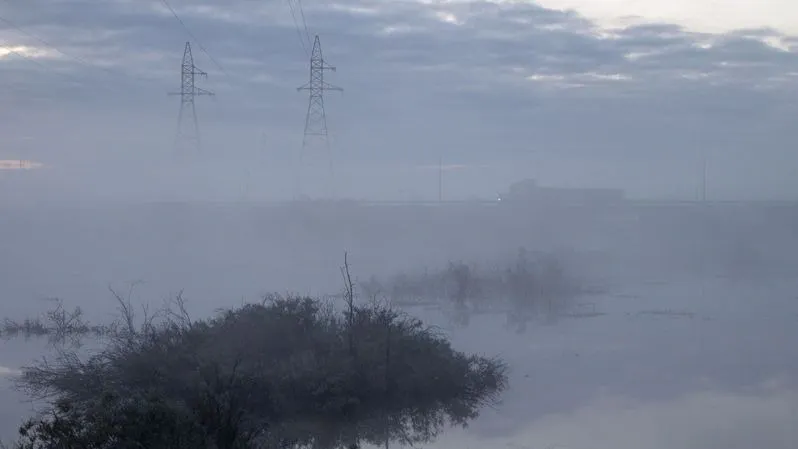 Фото: Федор Воронов/«Ямал-Медиа»