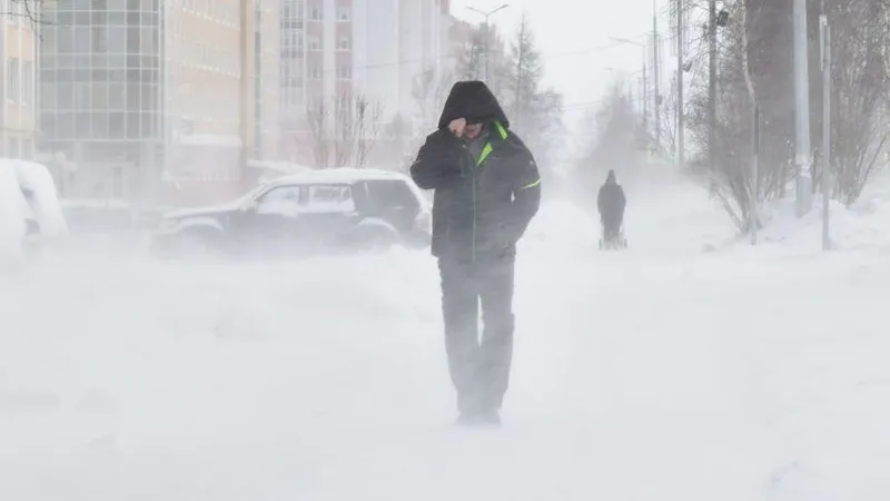 Фото: Андрей Ткачев/«Ямал-Медиа»